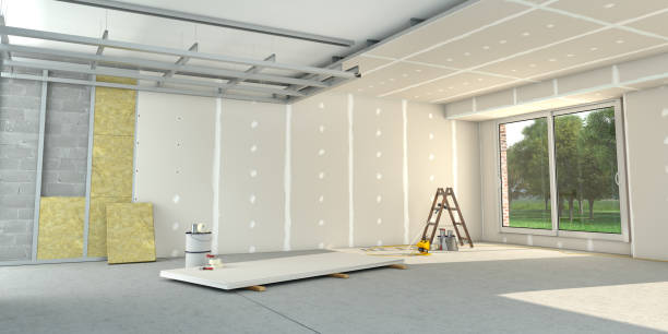 Best Insulation Maintenance and Repair in Rio Grande City, TX