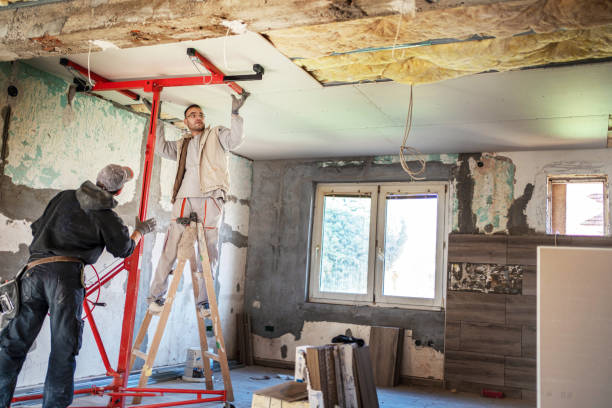 Best Insulation Maintenance and Repair in Rio Grande City, TX