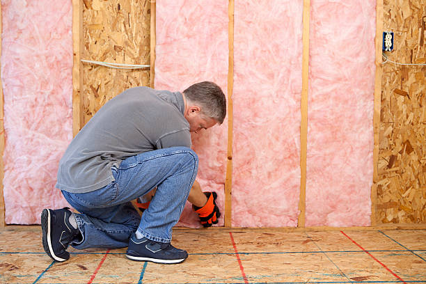 Best Types of Insulation in Rio Grande City, TX
