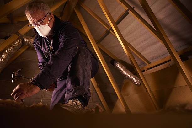 Best Insulation Installation Services in Rio Grande City, TX